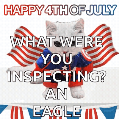 Superhero Cat Happy 4th July What Inspecting Eagle