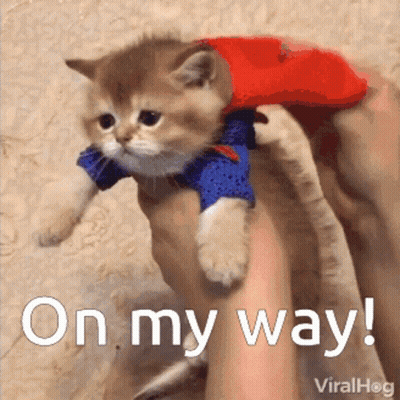 Superhero Kitten Saying On My Way GIF