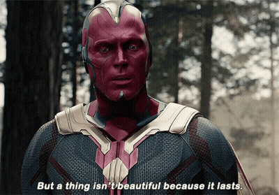 Superhero Saying Thing Isn't Beautiful Because It Lasts GIF