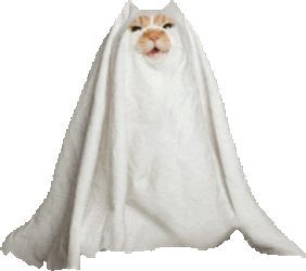Supernatural Spooky Sticker GIF