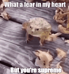 Supreme Frog Leaping Fail GIF