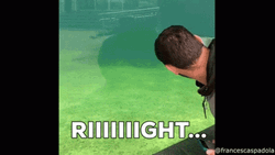 Sure Jan That's Right  GIF