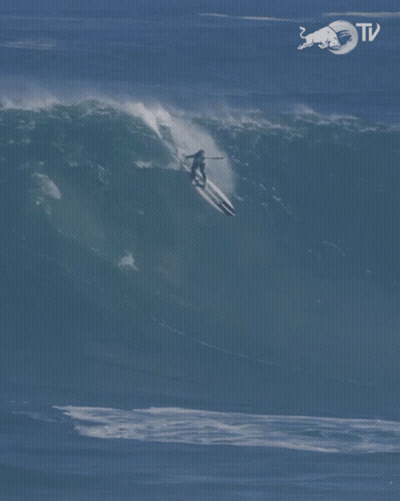Surfer Riding Wave With Bull TV Logo GIF