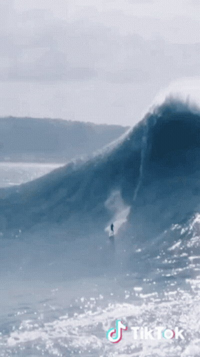 Surfer Riding Wave With TikTok Logo GIF