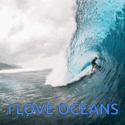 Surfer Surfing Wave I Love Oceans GIF