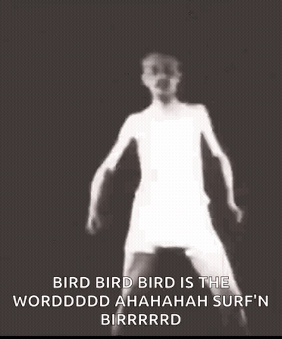 Surfin Bird The Word Is Uta Bar GIF