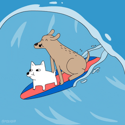 Surfing Dog And Cat  GIF