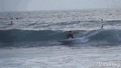 Surfing Surfer Crash Wave GIF