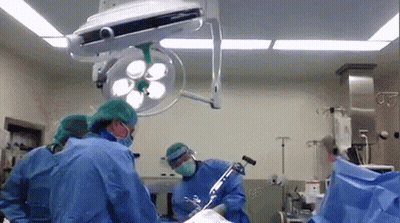 Surgeons Performing Surgery On Patient GIF