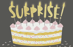 Surprise Happy Birthday Harry GIF