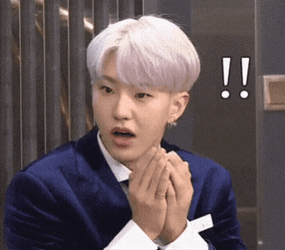 Surprise Hoshi Shocked Meme GIF