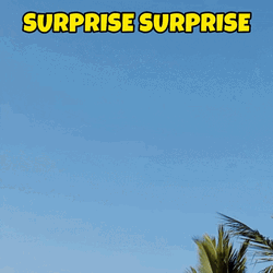 Surprise Surprise Awkward Filipina Vlogger GIF