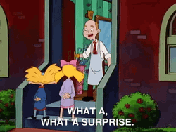 Surprise Surprise Hey Arnold Nicksplat GIF