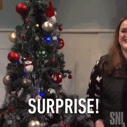 Surprise Surprise Kristen Wiig Push SNL GIF