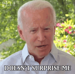 Surprise Surprise President Joe Biden GIF