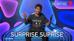 Surprise Surprise Sarcastic Big Brother Reality Show GIF