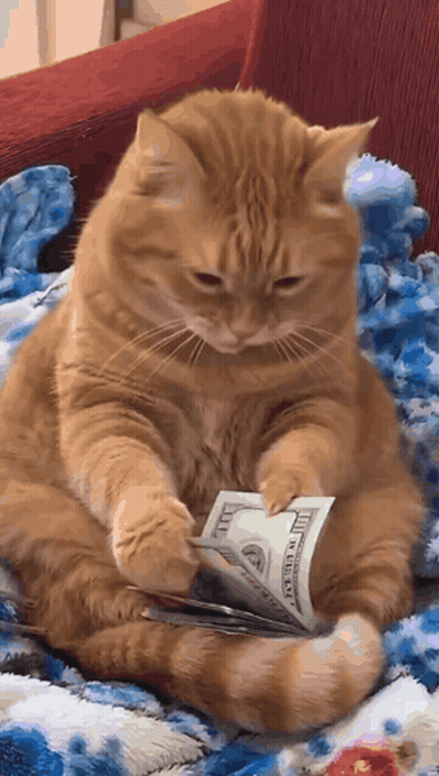 Surprised Boy Saying Aww GIF