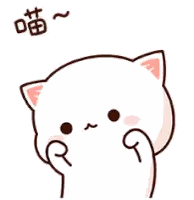 Surprised Cartoon Cat Sticker
