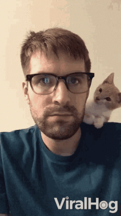 Surprised Cartoon Cat GIF