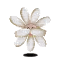 Surprised Cartoon Flower Sticker