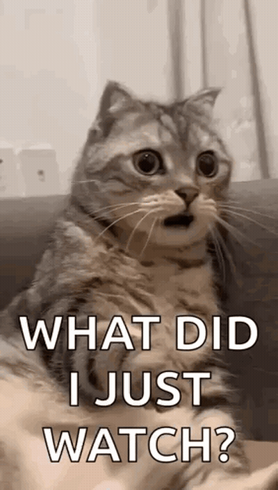 Surprised Cat On Couch Saying What Did I Just Watch GIF