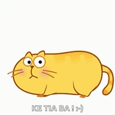 Surprised Cat Saying Ke Tia Ba GIF