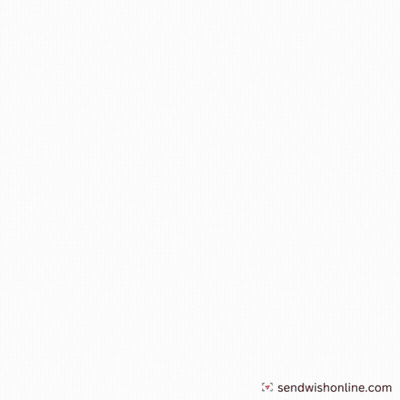 Surprised Cat Saying Oh My God You Remembered GIF