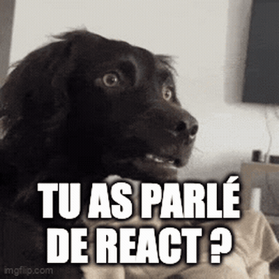 Surprised Dog Tu As Parle De React ? GIF