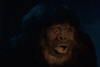 Surprised Gorilla GIF