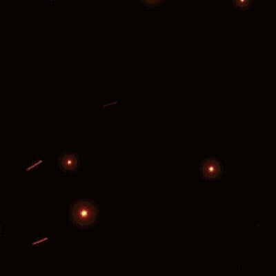Surprised Man Holding Bag Of Chips GIF