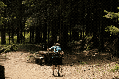 Surprised Man In Forest GIF