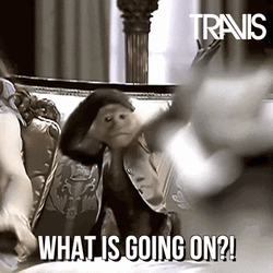 Surprised Reaction Of Monkey Meme GIF