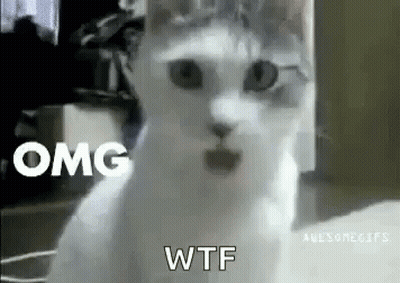 Surprised White Cat On Couch GIF