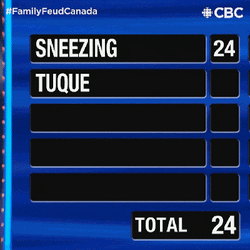 Survey Says Gerry Dee Top 2 Answer GIF