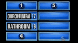 Survey Says Two Wrong Answer Already GIF