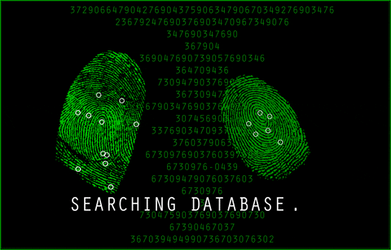 Surveying And Searching Database GIF