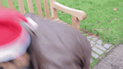 Survive The Fall Man In Santa Hat GIF