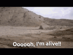 Surviving In The Desert Im Alive GIF