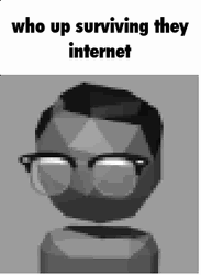 Surviving The Internet GIF