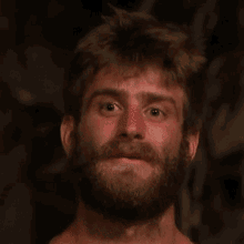 Survivor Roko Šimić Bearded Pretends To Be Shocked GIF