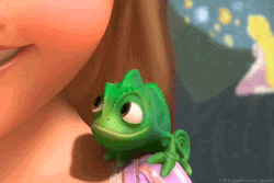 Sus Pascal Tangled GIF