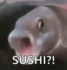 Sushi Made Of Fish GIF