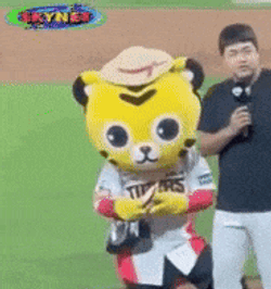 Suspicious Cat GIF
