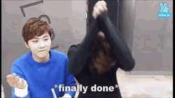 SVT Seungkwan And Dokyeam All Done GIF