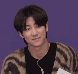 Svt Seventeen GIF