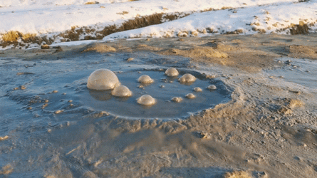 Swamp Releases Small Bubbles GIF
