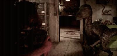 Swan Picture Hanging Above Green Cabinet GIF