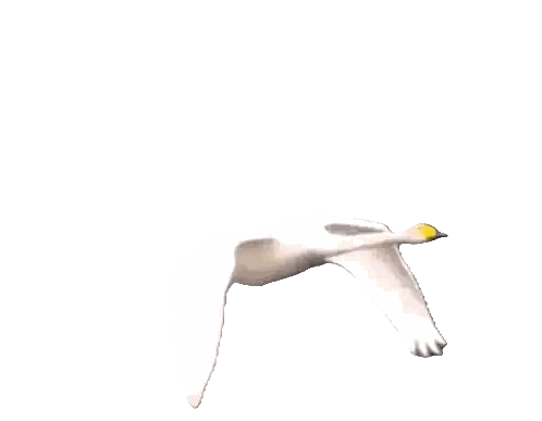 Swan With Yellow Beak Flying Sticker