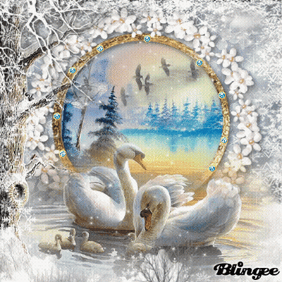 Swans And Ducklings In Water Blingee GIF