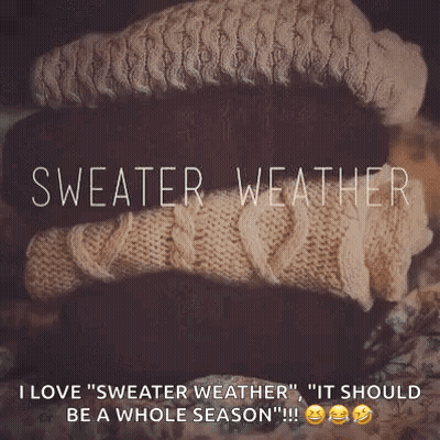 Sweater Weather Quote On Sweaters GIF